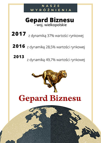 Wyróżnienie w Gepard Biznesu 